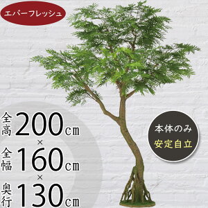 tFCNO[ ^ lmL l̖ Go[tbV  CeAO[ A lC lHϗtA  ϗtA A[gO[  X Vbv Ǝ{  f