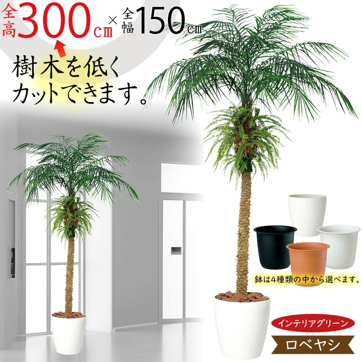 楽天市場】ヤシの木 フェニックス ロベレニー ロベヤシ フェイク 