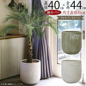 Jo[ v^[ Jo[  ^ lC t@Co[Zg y ϗtA ChAO[ CeAO[  CeA Ƌ  Aؔ | ϗt 傫 i