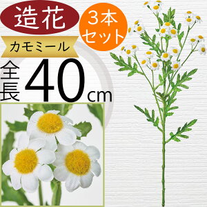 �J���~�[�� �n�[�u ���� ������� �l�C �A�[�e�B�t�B�V�����t�����[ ���A�� �l�H�ϗt�A�� �t�F�C�N�O���[�� �t�����[�A�����W�����g �f�B�X�v���C �����p�i �C���e���A �I�u�W�F �ԍ� ���� 
