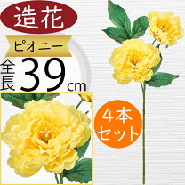 楽天市場】シャクヤクの通販