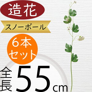 Xm[{[   fCW[ A A[eBtBVt[ lHϗtA CeAO[ A[gt[ G tFCNO[ t[AWg IuWF fB