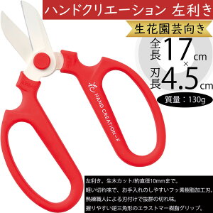 | nT~ lC  nhNG[V ͂     |pi K[fjOpi Ԃ΂  ԍ t[AWg K[fjO   t  ֗A