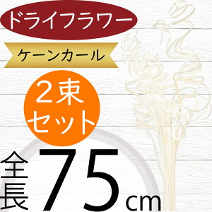 hCt[  P[J[  zCg lC VRf Rf t[AWg fBXvC pi CeA G Ƌ  IV ϗtA ԍ } }