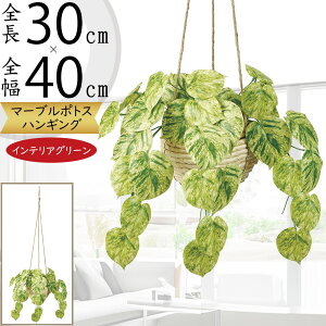 tFCNO[ nMO v^[  lC  CeAO[ A lHϗtA  CeA |bg t Aؔ Jo[ | ݂邷 ݂邵 ݂邹 