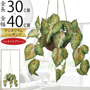 tFCNO[ nMO v^[  lC  CeAO[ ϗtA A lHϗtA  CeA |bg t Aؔ Jo[ | ݂邷 ݂邵 