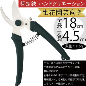 ͂ nT~  nhNG[V  lC  ԗp ؂ ԉ|    Jbg ؂ t[AWg XO[ 115g nLbvt