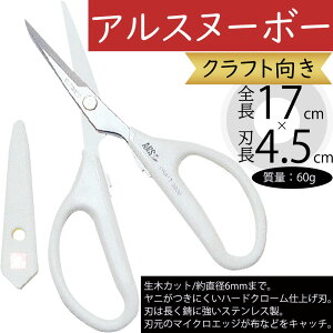 ͂ nT~  AXk[{[ lC z Ntg    Jbg ؂ ACe i ㎿  ȒP ֗  t[AWg H i Xe