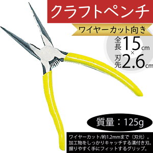 Ntgy` lC  A[eBtBVt[ C[Jbg    Jbg ؂  i  t[AWg Yf| 125g NFDi