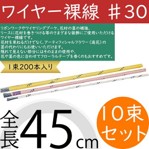 C[ #30  lC t[  ԍ |pi f ޗ p[c H  }eA CO s̕⋭ {[N G CeA t[AWg fB