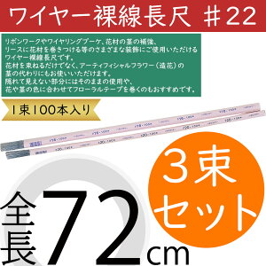 C[ #22  lC t[  ԍ |pi f ޗ p[c H  }eA CO s̕⋭ {[N G CeA t[AWg 