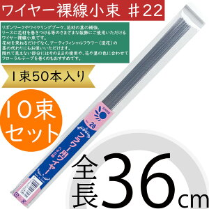 C[ #22  lC t[  ԍ |pi f ޗ H  }eA CO s̕⋭ {[N G CeA t[AWg fBXv