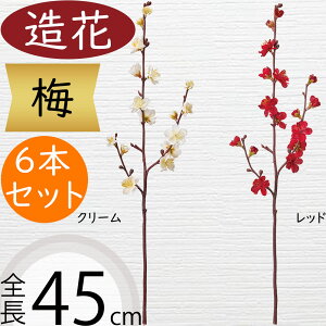 yԁz CeA ~ S45cm 6{Zbg E   lHϗtA A[eBtBVt[ ԍ t[AWg fBXvC  ao