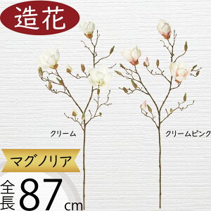 }OmA  ^ ؘ@ N  lC A[eBtBVt[ Mtg v[g A t[AWg fBXvC  ԍ  A[gt[ Ce