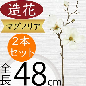 }OmA  ؘ@ N  lC A[eBtBVt[ Mtg v[g A t[AWg fBXvC  ԍ A[gt[ CeAO[ 