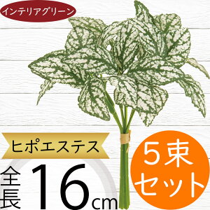 q|GXeX tFCNO[  lC CeAO[ A lHϗtA ϗtA  A[eBtBVt[ A[gvc t ԍ t[AWg 