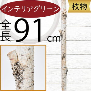  } VJo CeA tFCNO[  lC CeAO[ A  lHϗtA ԍ ϗtA A[gvc t[AWg fBXvC p