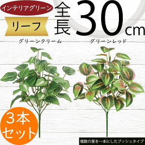 tFCNO[ lC  A ϗtA CeAO[ lHϗtA  A[gO[ lH ԍ t  CeA IuWF t[AWg fBXvC