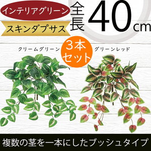 tFCNO[ lC  A ϗtA CeAO[ lHϗtA  A[gO[ lH ԍ t  CeA IuWF t[AWg fBXvC