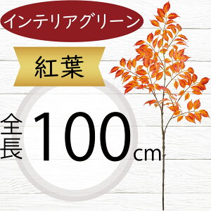 tFCNO[ ^  lC CeAO[ A ϗtA  A[gvc CeA lHϗtA lH } t t ԍ  IuWF t[AW