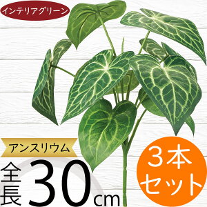 tFCNO[  CeAO[ A lHϗtA lC A[gvc A[gO[  A[eBtBVt[ t ԍ t[AWg fBXv