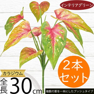 tFCNO[  CeAO[ JWE A lHϗtA lC A[gvc A[gO[  A[eBtBVt[ t t[AWg fB