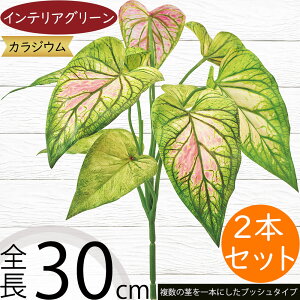 tFCNO[  CeAO[ JWE A lHϗtA lC A[gvc A[gO[  A[eBtBVt[ t t[AWg fB