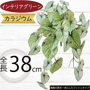 tFCNO[  CeAO[ JWE A lHϗtA lC A[gvc A[gO[  A[eBtBVt[ t t[AWg fB