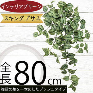 tFCNO[ ^  CeAO[ XL_vTX A lHϗtA lC A[gvc A[gO[  A[eBtBVt[ t t[AW