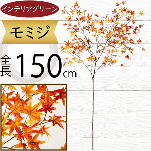 ~W ݂ gt Ԃ݂ tFCNO[ ^  lC CeAO[  A } lHϗtA  A[gvc A[gO[ t ԍ t[AW