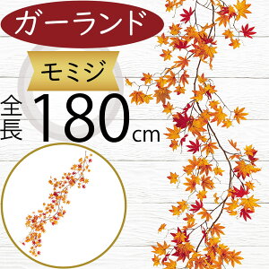 K[h  ~W ݂ lC tFCNO[ CeAO[ lHϗtA  A[eBtBVt[ A fR[V fBXvC t ǖʑ V