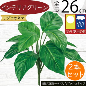 tFCNO[ Op  lC CeAO[ A  A[gvc CeA lHϗtA  ԍ IuWF t[AWg fBXvC   