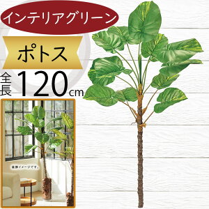 tFCNO[^ |gX  lC CeAO[ A lHϗtA  lH A[gvc A[gO[ ϗtA ChAO[ CeA IuWF ԍ 