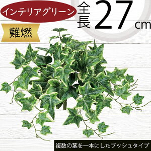 tFCNO[ R  lC ACr[ CeAO[ A ϗtA  A[gvc CeA lHϗtA lH n IuWF Ƌ t[AWg 