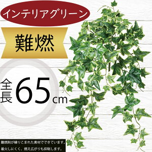 tFCNO[ R  lC ACr[ CeAO[ A ϗtA  A[gvc CeA lHϗtA lH n IuWF Ƌ t[AWg 