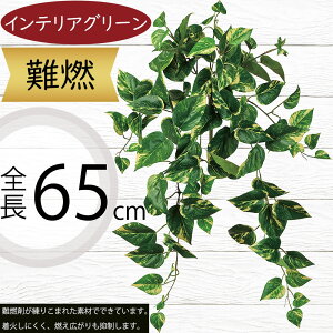 tFCNO[ R |gX  lC CeAO[ A ϗtA  A[gvc CeA lHϗtA lH  IuWF Ƌ t[AWg fB