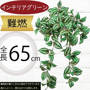 tFCNO[ R  lC CeAO[ A ϗtA  A[gvc CeA lHϗtA lH  IuWF Ƌ t[AWg fBXvC