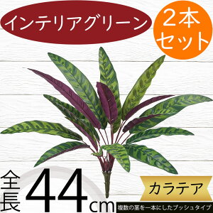 tFCNO[ lC  A ϗtA CeAO[ lHϗtA  A[gO[ lH ԍ t CeA IuWF t[AWg fBXvC J