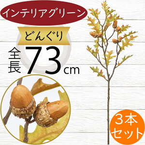 ǂ񂮂 hO tFCNO[  CeAO[ lC A  lHϗtA A[gvc A[gO[ A[eBtBVt[ ԍ t[AW