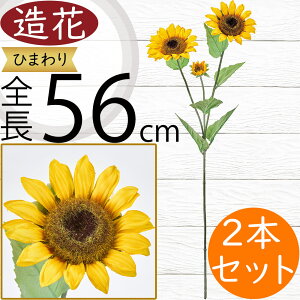 Ђ܂   lC  A q}  Tt[ t[AWg fBXvC A[eBtBVt[ ԍ  CeA A[gt[ lH