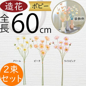 |s[   A A[eBtBVt[ lC lHϗtA CeAO[ A[gt[ G Ƌ tFCNO[ t[AWg IuWF fBXv