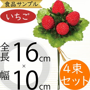 HiTv  lC A C`S  Xgx[ tFCNt[h  sbN  t[AWg fBXvC e[uR[fBl[g ꑕ Hi͌^  X