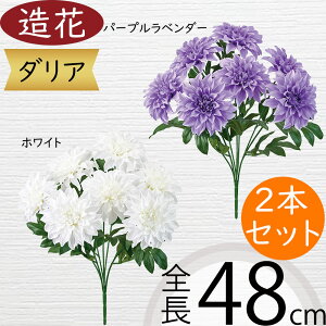 _A   lC A[eBtBVt[ Mtg v[g A t[AWg fBXvC A[gt[ CeA tFCNO[ G  IV