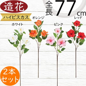 nCrXJX  A[eBtBVt[  lC A t[AWg fBXvC ԍ lHϗtA tFCNO[ CeAO[ gsJ 썑[