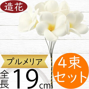 vA   lC A A[eBtBVt[ lHϗtA CeAO[ A[gt[ t[AWg fBXvC  ꑕ  gs