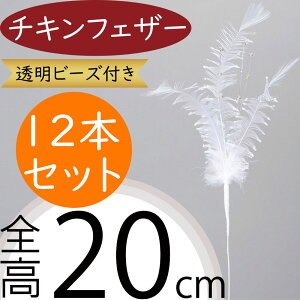 HыʓXXL  `LtFU[  lC zCg  A[eBtBVt[ G CeAO[ tFCNO[ A[gt[ lHϗtA t[AW