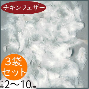 `L  lC zCg  A[eBtBVt[  G CeAO[ tFCNO[ A[gt[ lHϗtA t[AWg ԍ   fB