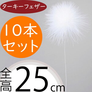 tFU[||  ^[L[tFU[  lC zCg  A[eBtBVt[ G CeAO[ tFCNO[ A[gt[ lHϗtA t[A