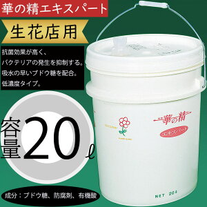 ؂̐GLXp[g 20bg ԓX ԉ Ɩp X ԍ  } t lC ؂ Rی |pi 100{ h L@_ Zx^Cv z̑uhEz oNe