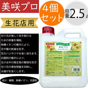 v 2.5bg ԓXp ԗp ؂ ؉ lC t[AWg } t ԍ t[ |pi  @CI Rۍ 100{ gǂ h{⋋ 